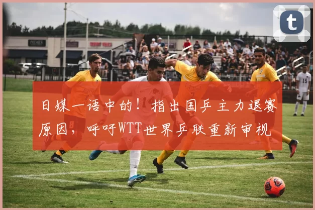 日媒一语中的！指出国乒主力退赛原因，呼吁WTT世界乒联重新审视