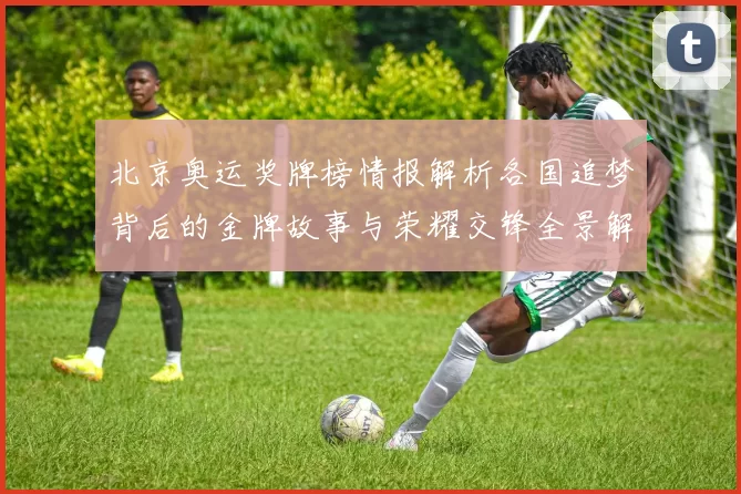 北京奥运奖牌榜情报解析各国追梦背后的金牌故事与荣耀交锋全景解读