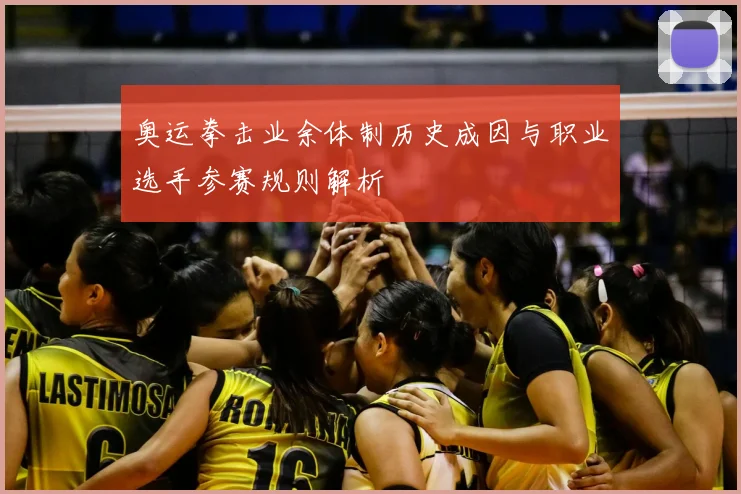 奥运拳击业余体制历史成因与职业选手参赛规则解析