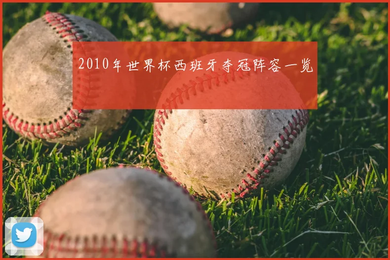 2010年世界杯西班牙夺冠阵容一览